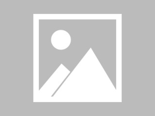 包含阿贾克斯新援表现不俗，受到球队领袖青睐的词条